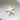 Starfish Horned Bleached White 3-4