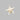 Starfish Horned Bleached White 3-4