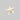 Starfish Horned Bleached White 3-4