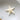 Starfish Horned Bleached White 3-4