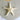 Starfish Horned Bleached White 6-8