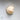 Stellaria Solaris Natural Shell