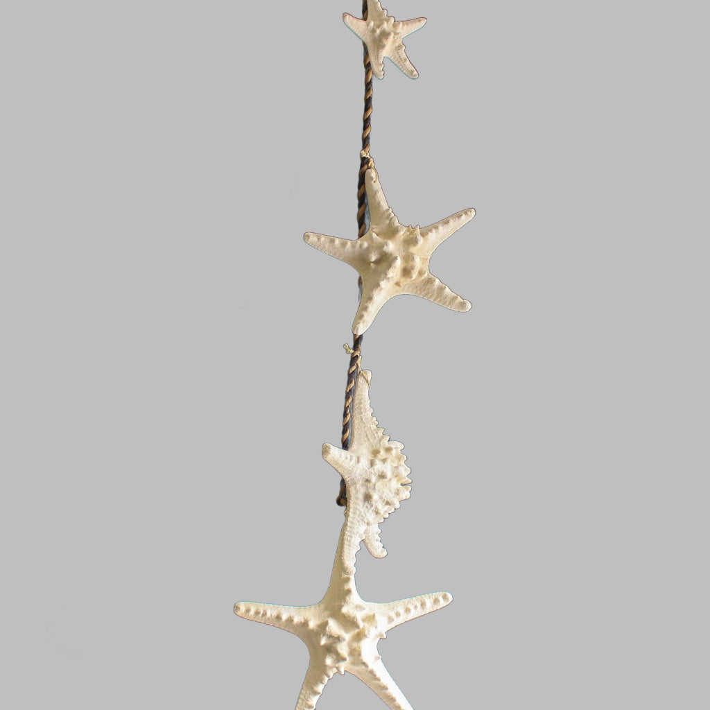 Stranded Graduated White Horned Starfish Hanger