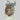 Tiger Cowrie Owl With Wings
