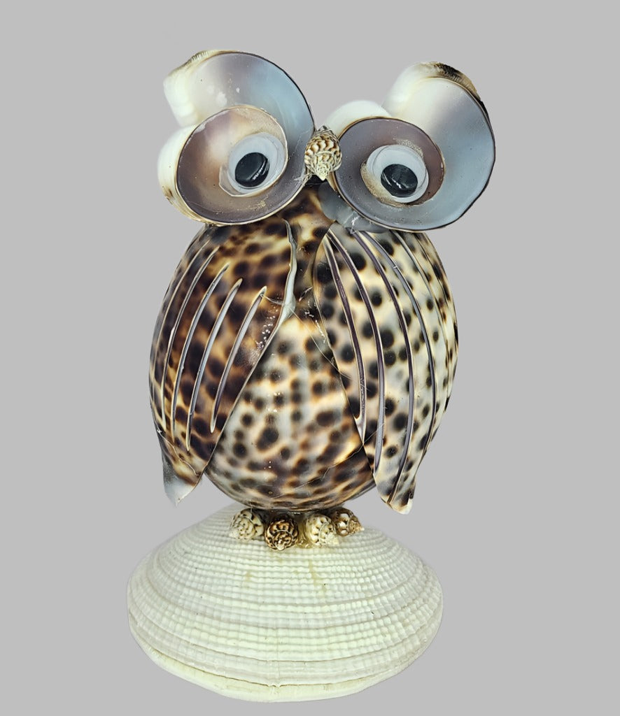 Tiger Cowrie Owl With Wings