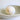 Natural Tonna Allium Shell