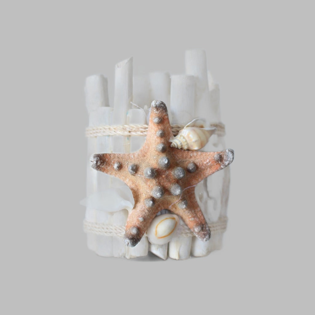 White Washed Driftwood Candle Holder With Natural Horned Starfish. Home Décor